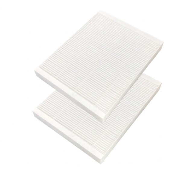 Set di 2 filtri F7 per Aspira ASPIRLIGHT 140 HV e ASPIRLIGHT 200 HV, dimensioni 225 × 175 × 23 mm